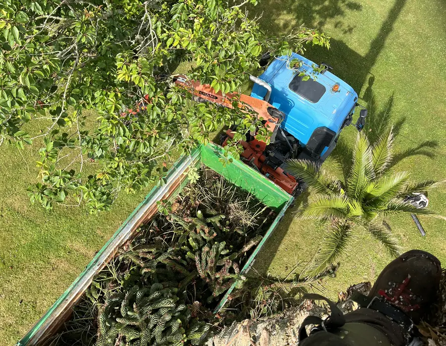 Broyage des branches directement sur le chantier
