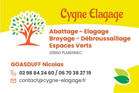 carte de visite